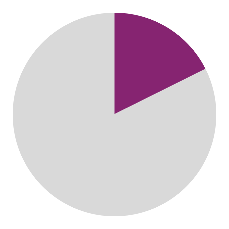 17.9% OF HRDS KILLED INDIGENOUS RIGHTS DEFENDERS2